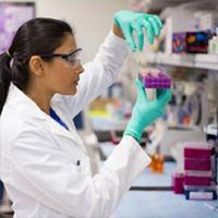 Researcher