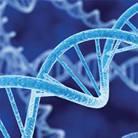 DNA