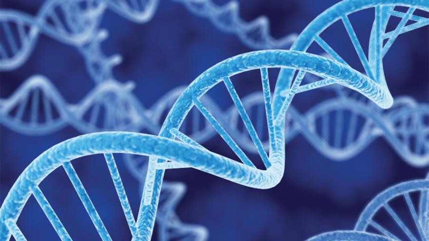 DNA