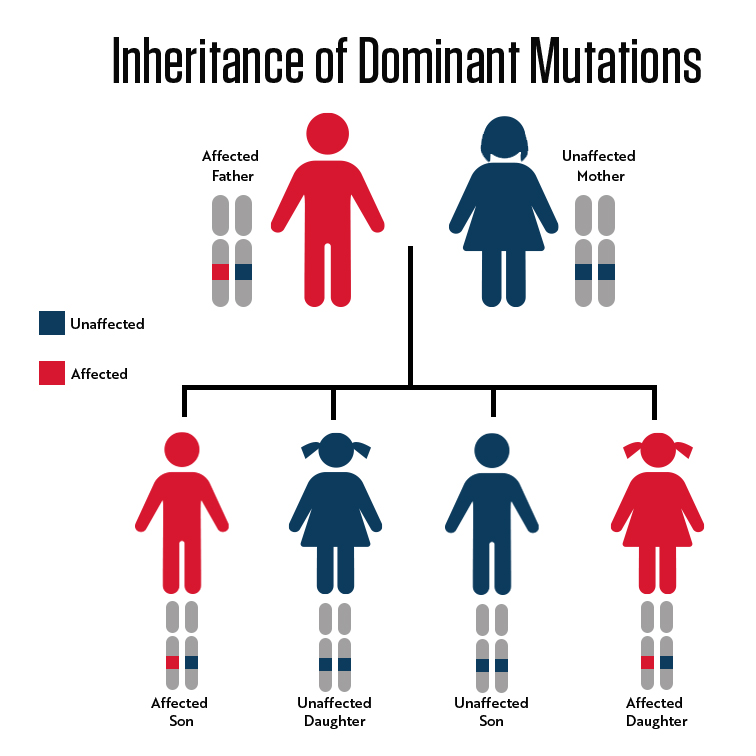 Inheritance of Dominant Mutations
