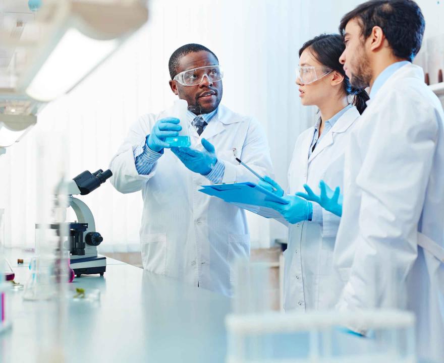 Researchers in a lab