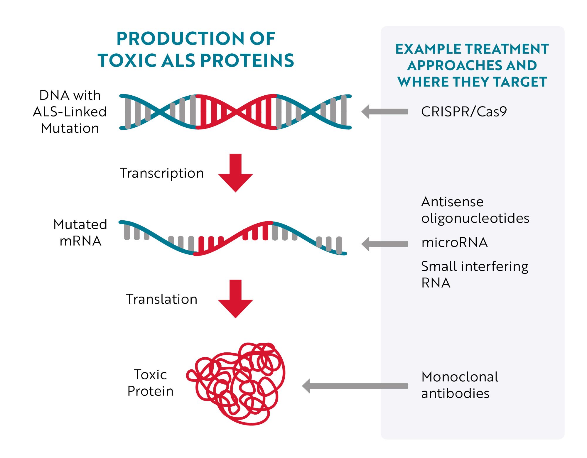 Toxic Protein infographic