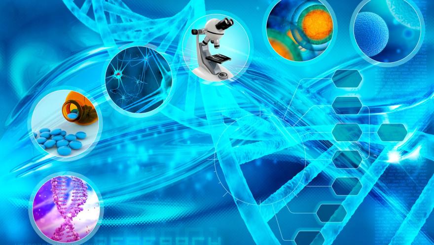 Transforming Understanding-Blog-Header